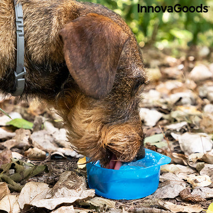 Botella con Depósito de Agua y Comida para Mascotas 2 en 1 Pettap InnovaGoods