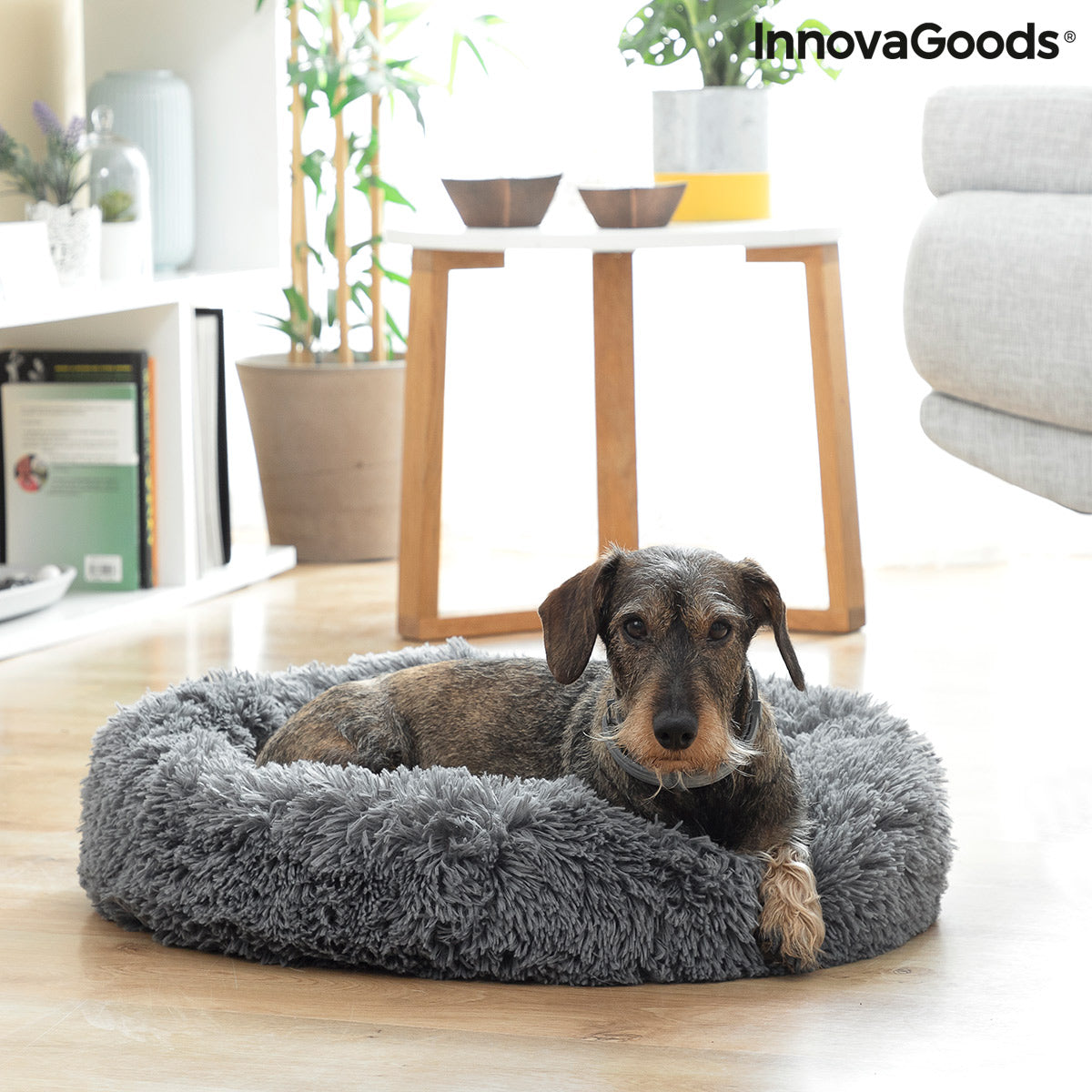 Cama Antiestrés para Mascotas Bepess InnovaGoods Ø 60 cm